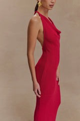 Ayella Cowl Knit Maxi Dress Raspberry